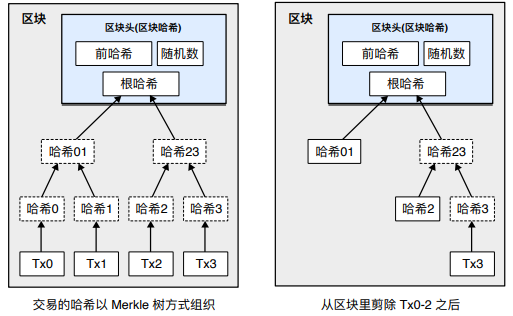 coin的存储结构