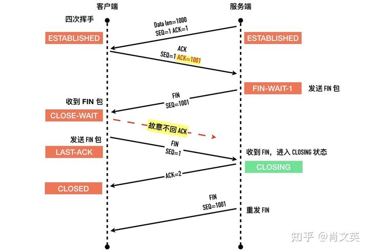 图源来自知乎